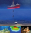 Hiddentreasuresinthedeepsea
